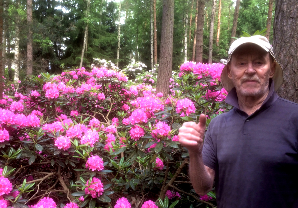 Mies alppiruusujen edessä.