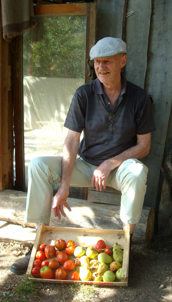 Mies esittelee korjaamaansa tomaattisatoa.