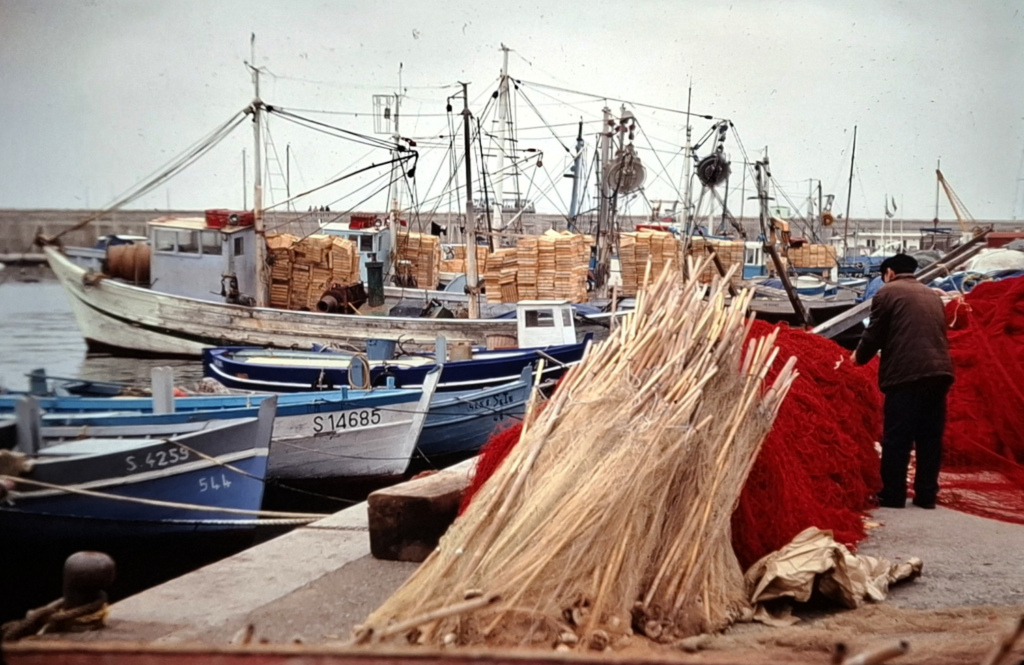 Kalastaja setvii verkkojaan Välimeren satamassa.